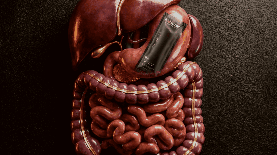 Clean Whey & Gut Health in 2026: Why It's the Ultimate Protein for Your Microbiome
